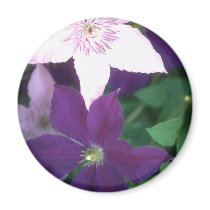 Beautiful Purple Flowers magnets