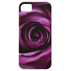 Beautiful Purple Rose Flower Petals Girly Gifts iPhone 5 Case