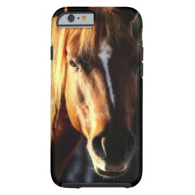 Beautiful Quarter-horse Pony Portrait Tough iPhone 6 Case