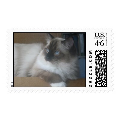 Beautiful Ragdoll Hymalayan Cat Gazing Outside Stamps by nyamomo