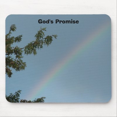 promise promise
