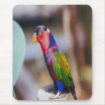 Beautiful Rainbow-Lorikeet mousepad