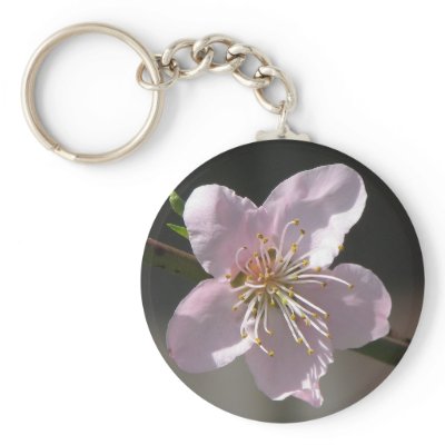 Beautiful Raspberry Bloom Key Chain by princessklb07