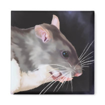 Beautiful Rat Painting magnets by RattyratCindy Beautiful Rat Painting magnets