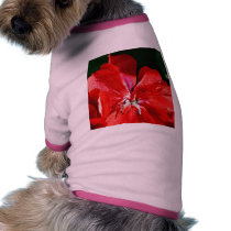 Beautiful Red Flower In Balboa Park pet clothing by lifesphere Beautiful Red Flower In Balboa Park pet clothing