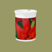 Beautiful Red Flower pitchers