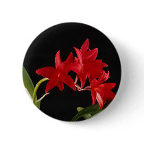 Beautiful Red Flowers buttons