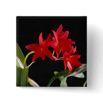 Beautiful Red Flowers buttons