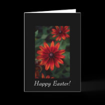 Beautiful Red Flowers cards by CustomCards Beautiful Red Flowers cards