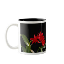 Beautiful Red Flowers mugs
