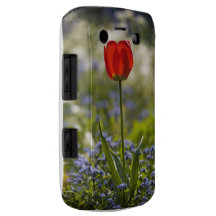 Beautiful Red Poppy Design Blackberry Bold Case