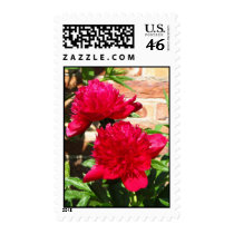 Beautiful Red Postage postage