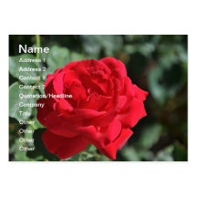 Beautiful red rose business cards
