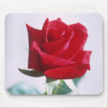 Beautiful Red Rose Mouse Pad