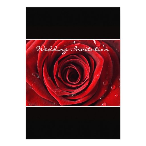 Beautiful Red Rose Wedding Invitiation- Black Announcement