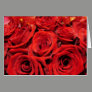 Beautiful red roses