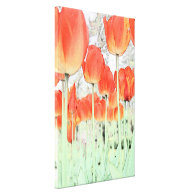 beautiful red tulip flowers canvas prints