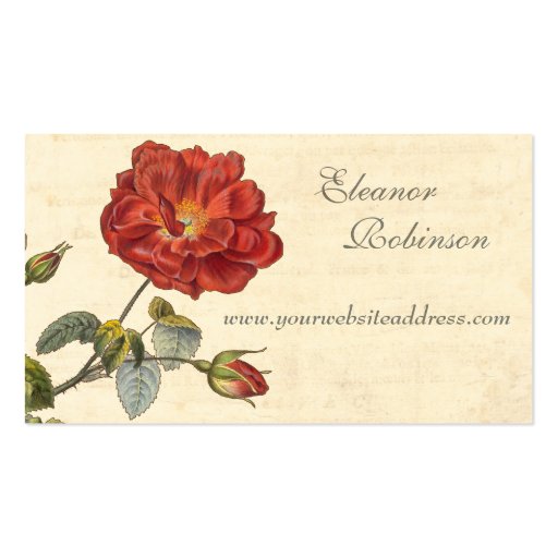 Beautiful Red Vintage Rose Old Fashioned Business Cards (back side)