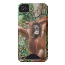 Beautiful Redhead Orangutan in Pinup Pose Iphone 4 Id Case