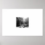 Beautiful Roots - Angkor Wats - Cambodia posters