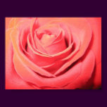 Beautiful Rose Canvas