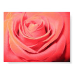 Beautiful Rose Canvas