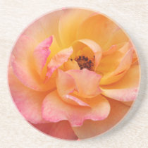 Beautiful Rose coasters