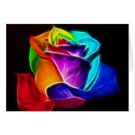 Beautiful Rose of Colors 5 Greeting Cards