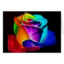 Beautiful Rose of Colors 5 Greeting Cards