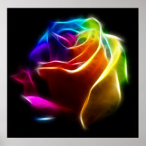 Beautiful Rose of Colors No2 Print