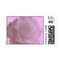 Beautiful Rose Postage stamps