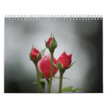 Beautiful Roses Calendar