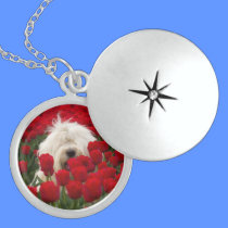 Beautiful Round Sterling Silver Locket and Chain necklaces