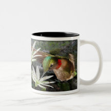Beautiful Ruby Throated Hummingbirds Coffee Mugs