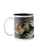 Beautiful Ruby Throated Hummingbirds Coffee Mugs