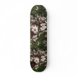 Beautiful Sandcherry Skateboard