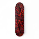 Beautiful Scarlet sea fan harboring numerous small Skate Boards