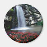 Beautiful Scenic Magnet