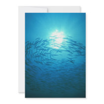 Beautiful School of barracuda circle the sun Personalized Invites