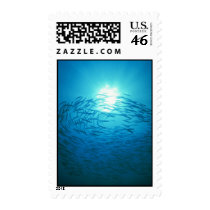 Beautiful School of barracuda circle the sun Stamps