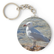 Beautiful seagull - Keychain