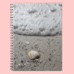 Beautiful seashell on the beach notebook notebooks