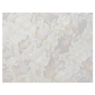 Beautiful Section of a scorpion fish's pectoral fi Letterhead Design by inspirelove