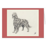 Beautiful Setter Cards
