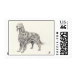 Beautiful Setter Postage Stamp