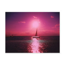 Beautiful Shediac Postcard