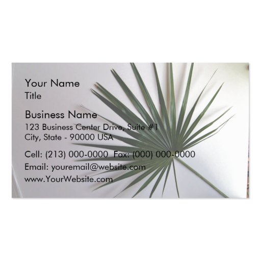 Beautiful shot of a fan palm leaf against white ba business card