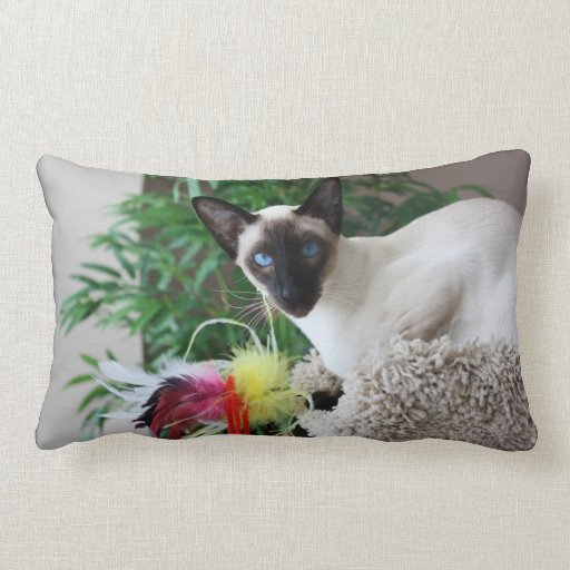 siamese cat pillow