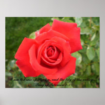 Beautiful single rose with Scripture Posters