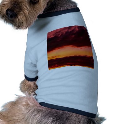 beautiful sky  and  cloud pet clothes by naturelife